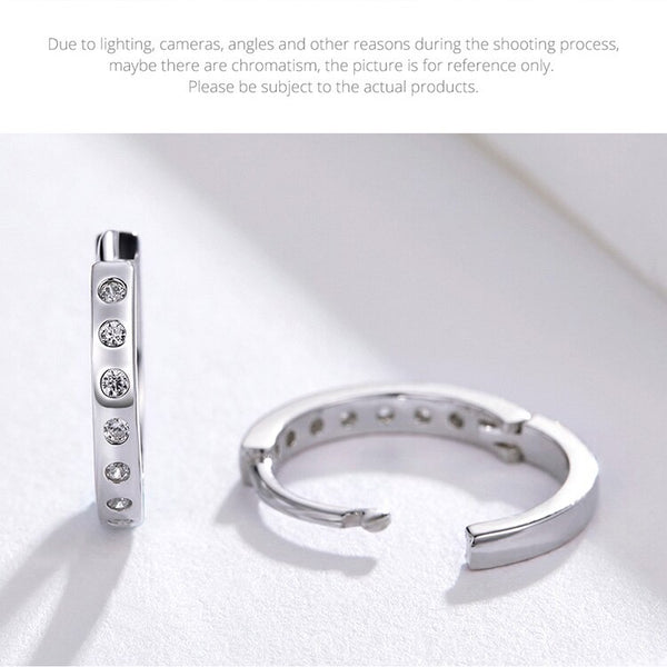 925 Sterling Silver Korean Style Zircon Earrings For Women