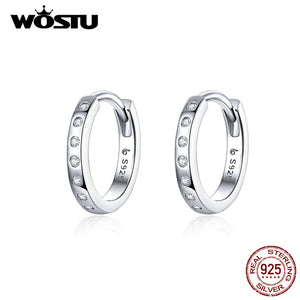 925 Sterling Silver Korean Style Zircon Earrings For Women