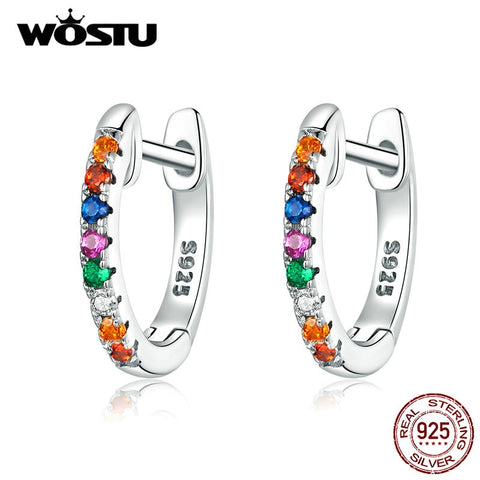 Real 925 Sterling Silver Colorful Zircon Earrings For Women